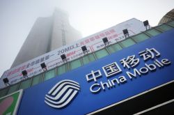 （5分钟教程）恩施土家族苗族自治州政府网_哔哩哔哩